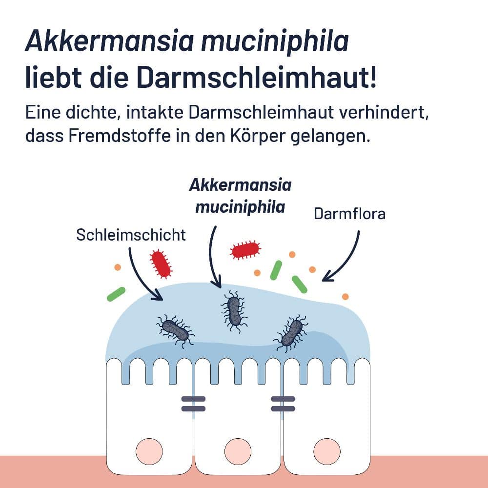 PROBIO-CULT AKK1 DARM MUKOSA PRO 30 St Tabletten