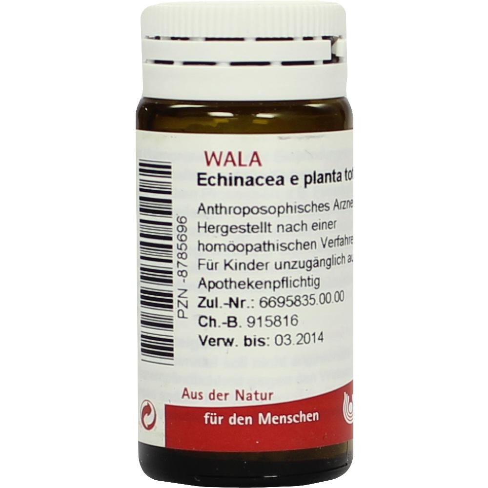 Echinacea e planta tota D3 Globuli 20 g Globuli