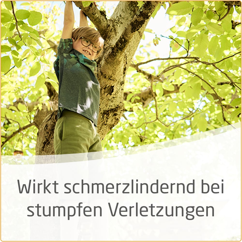 WELEDA Arnika-Salbe 30% 70 g Salbe