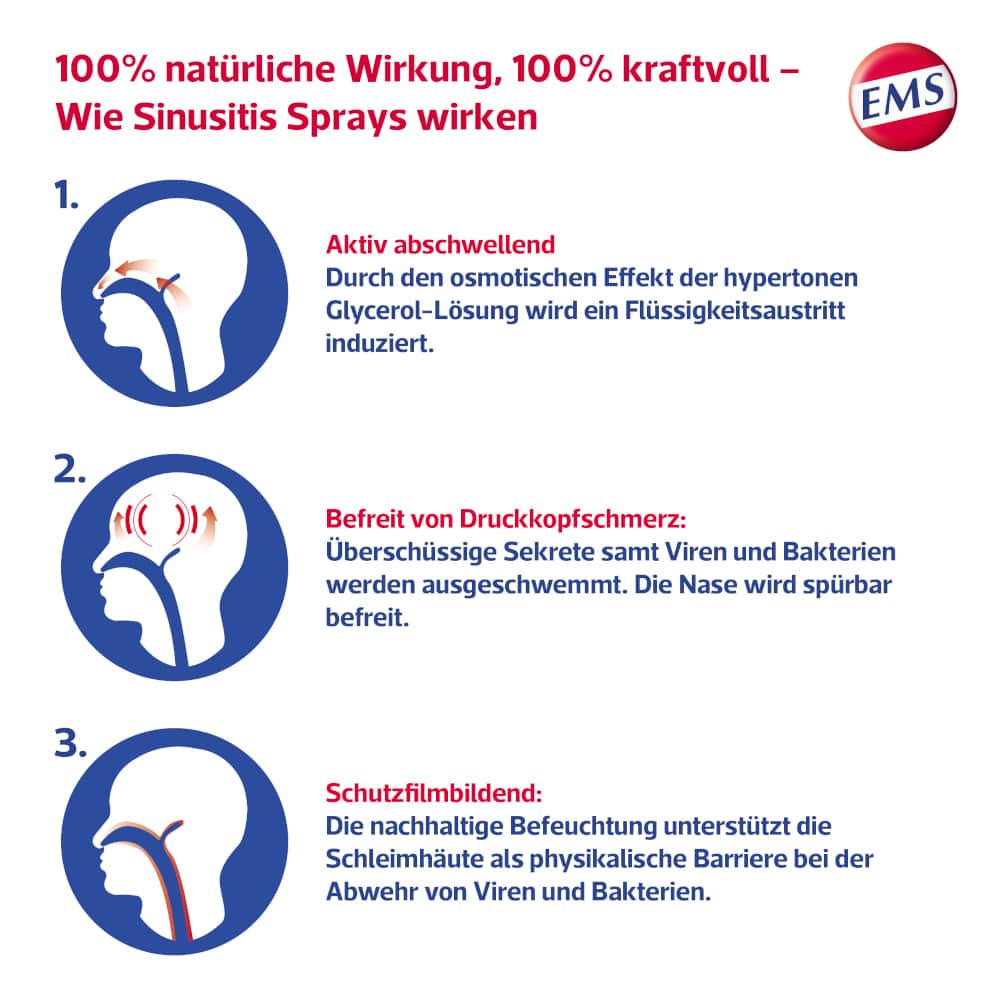EMS SINUSITIS SPRAY FORTE 15 ml Spray
