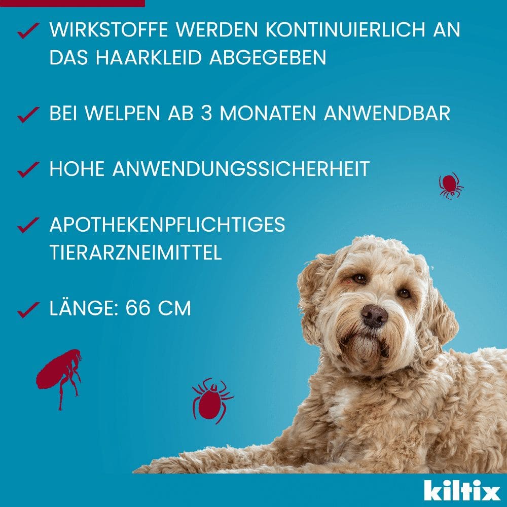 KILTIX Halsband für große Hunde 1 St Halsband