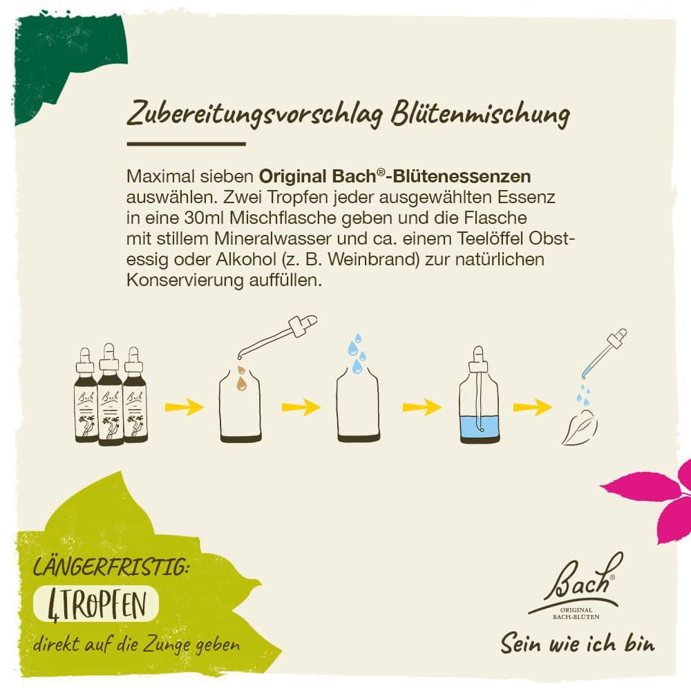 BACHBLÜTEN Original Vervain Nr. 31 20 ml Tropfen
