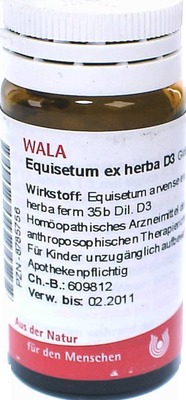 Equisetum ex herba D3 Globuli 20 g Globuli
