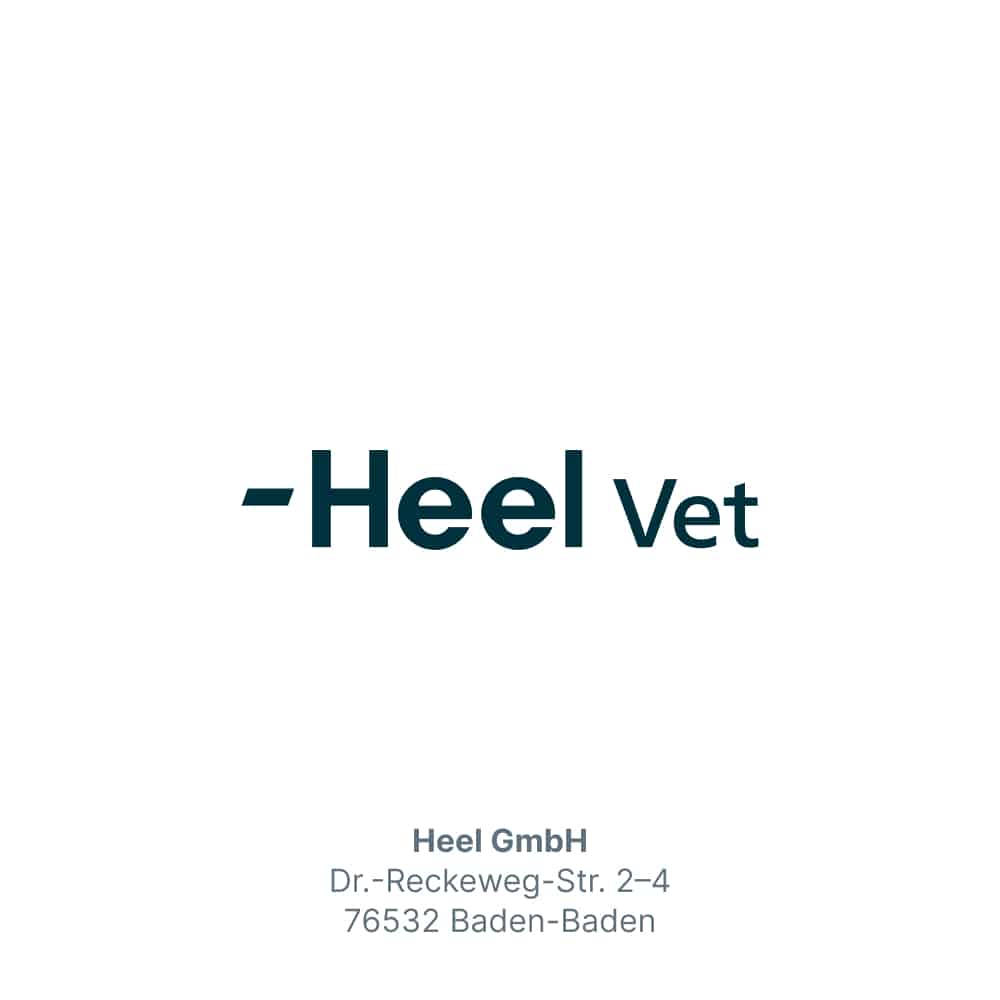 MOBEEL vet. 150 g Pulver