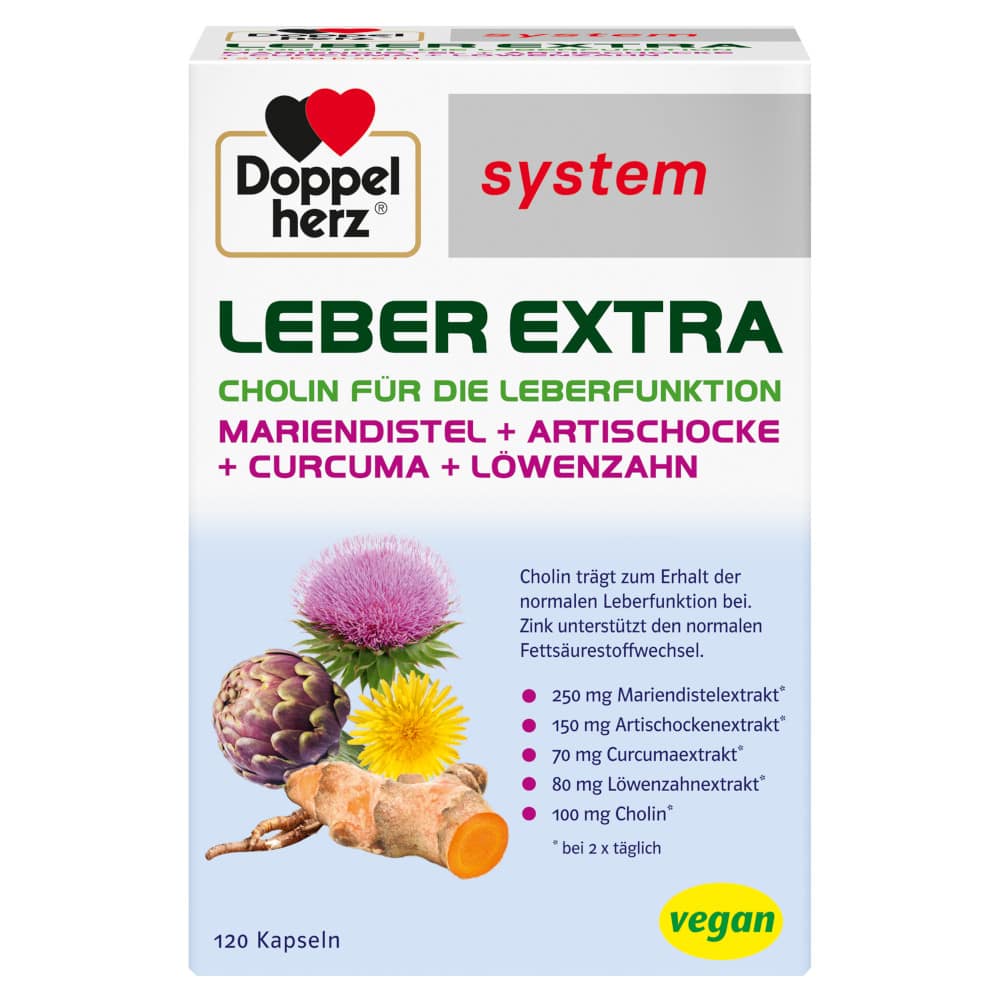 Doppelherz system LEBER EXTRA 120 St Kapseln