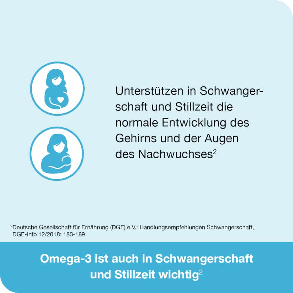 omega3-Loges pflanzlich 120 St Kapseln
