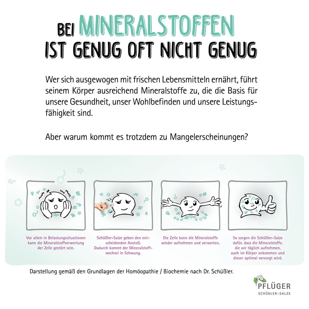 Biochemie / Schüßler-Salze Pflüger - Haus- und Reiseapotheke Globuli Nr. 1-12 - 12 x 15 g Globuli 1 St Globuli