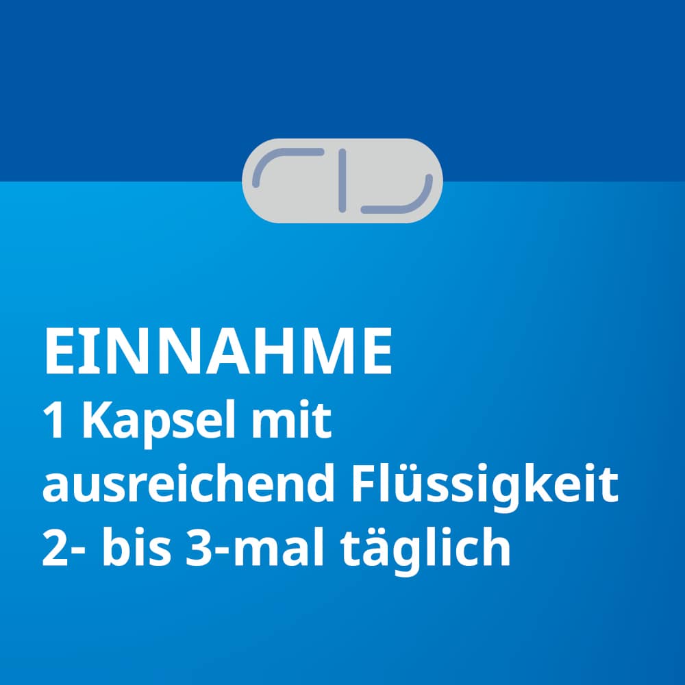 Silymarin STADA forte  100 St Hartkapseln
