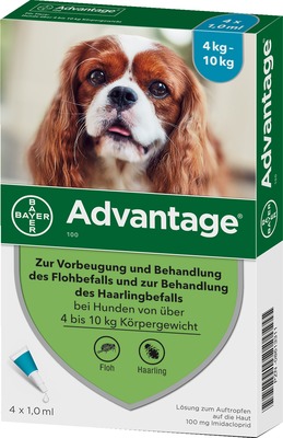 Advantage 100 Lösung zum Auftropfen für Hunde 4-10 kg 4 St Lösung