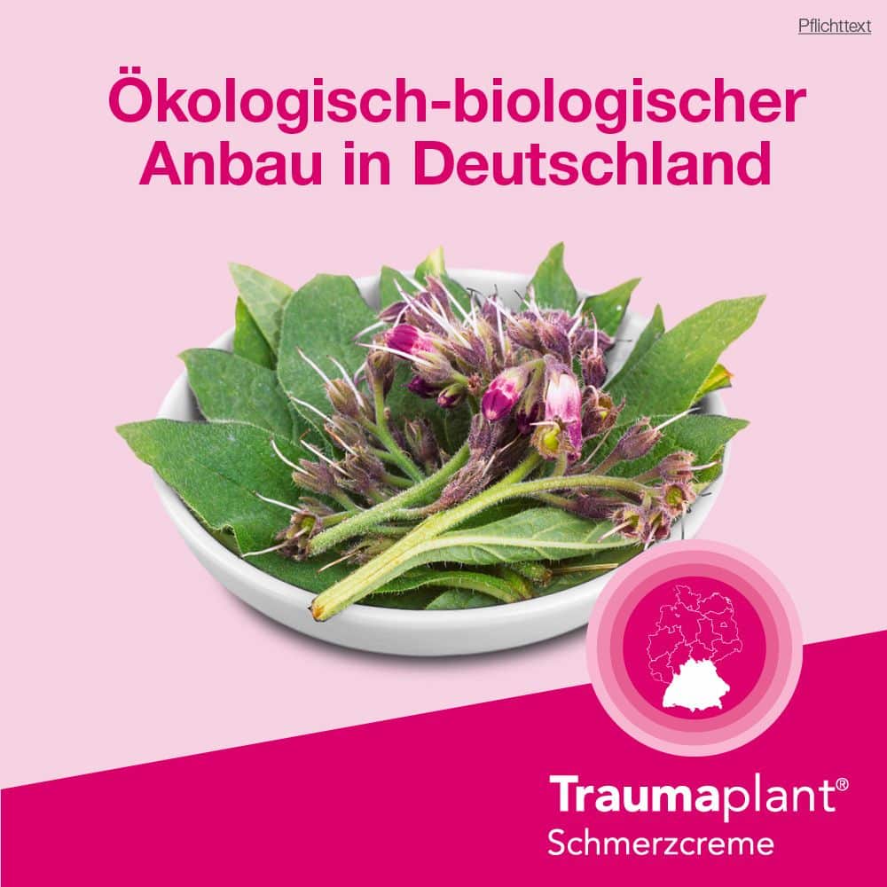 Traumaplant Schmerzcreme 100 g Creme