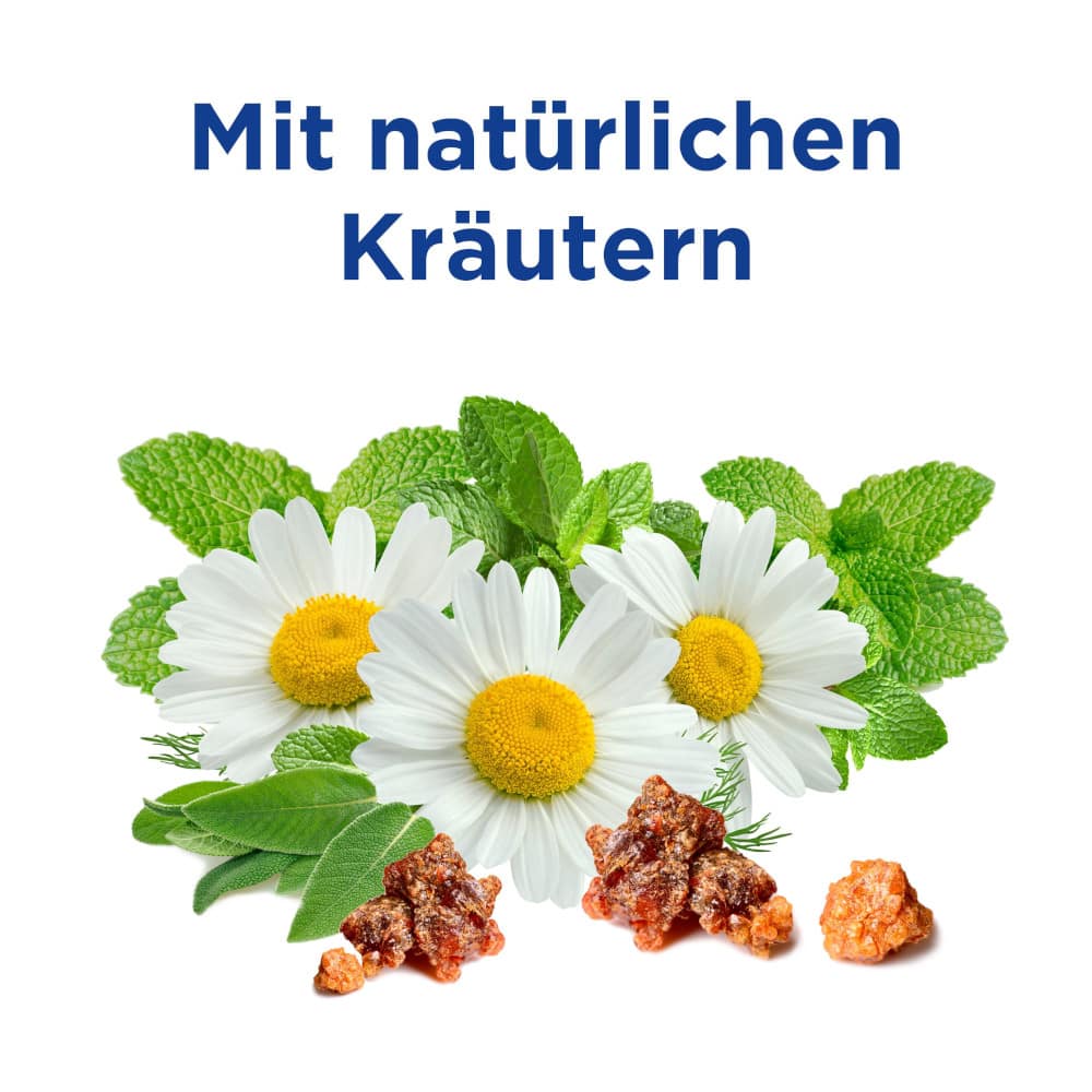 Colgate KOMPLETT 8 NATÜRLICHE KRÄUTER Zahnpasta 75 ml Zahnpasta