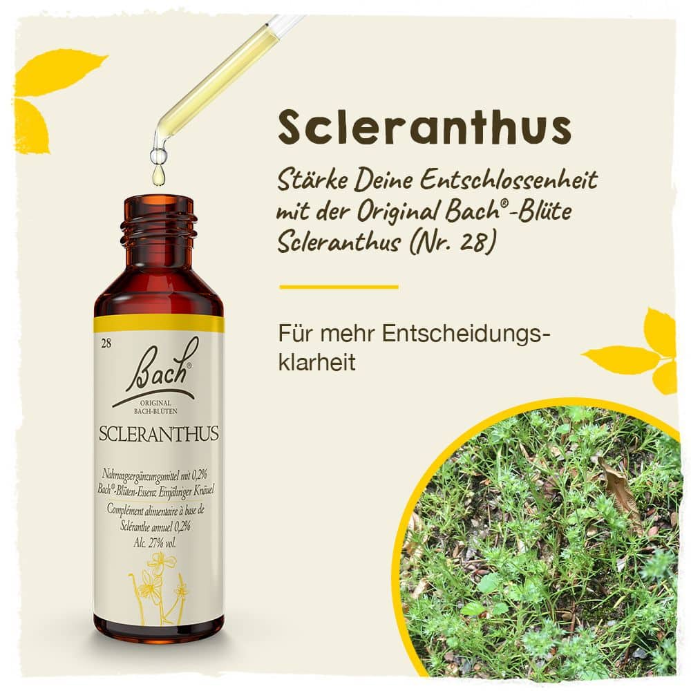 BACHBLÜTEN Original  Scleranthus Nr. 28 20 ml Tropfen