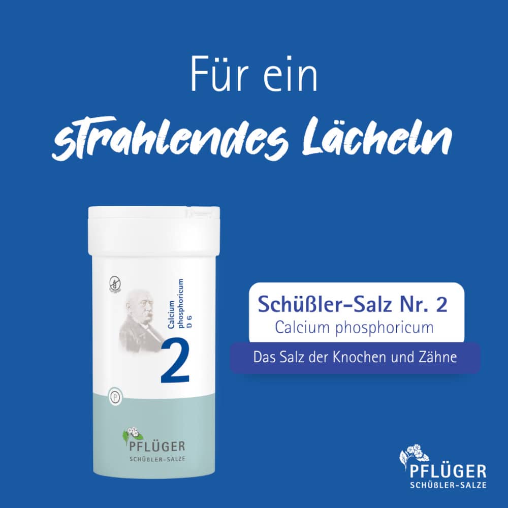 Schüßler-Salz Nr. 2 Calcium phosphoricum D6 100 g Pulver