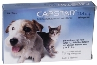 CAPSTAR 11,4 mg für Katzen und kleine Hunde 6 St Tabletten