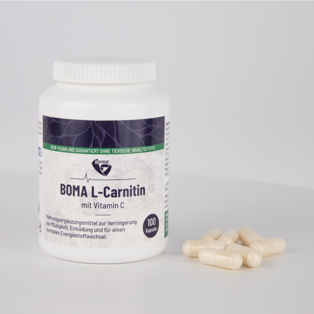 L-CARNITIN 500 Kapseln 100 St Kapseln