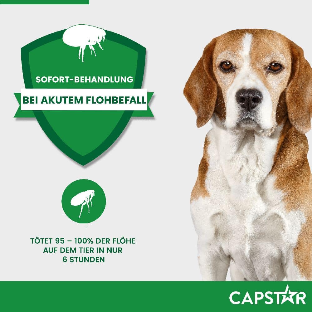 CAPSTAR 57 mg  für große Hunde 6 St Tabletten