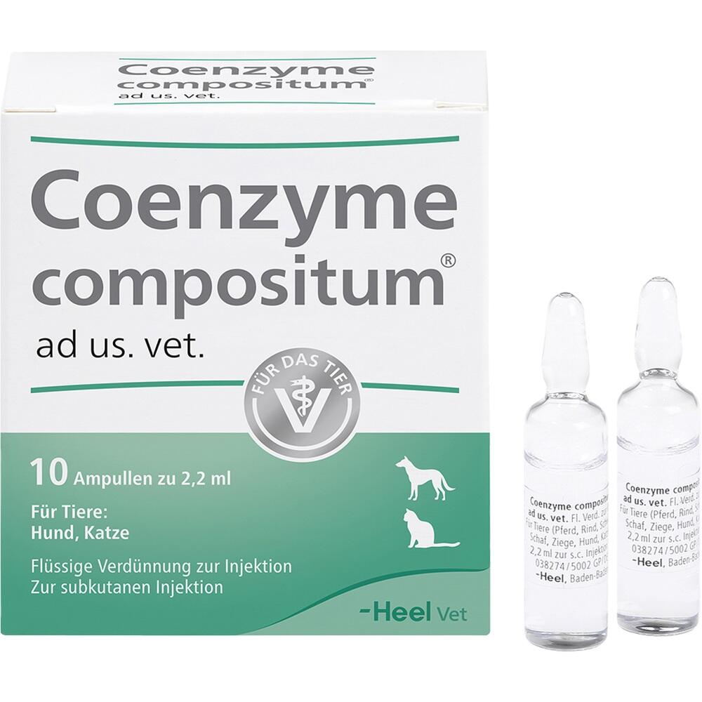COENZYME compositum ad. us. vet. 10 St Ampullen