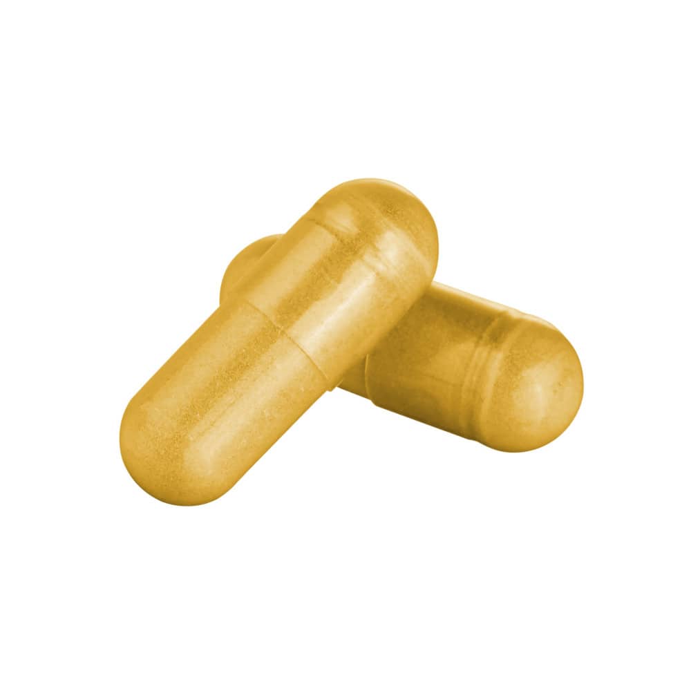 Q10 Coenzym 100MG Vegan 90 St Kapseln