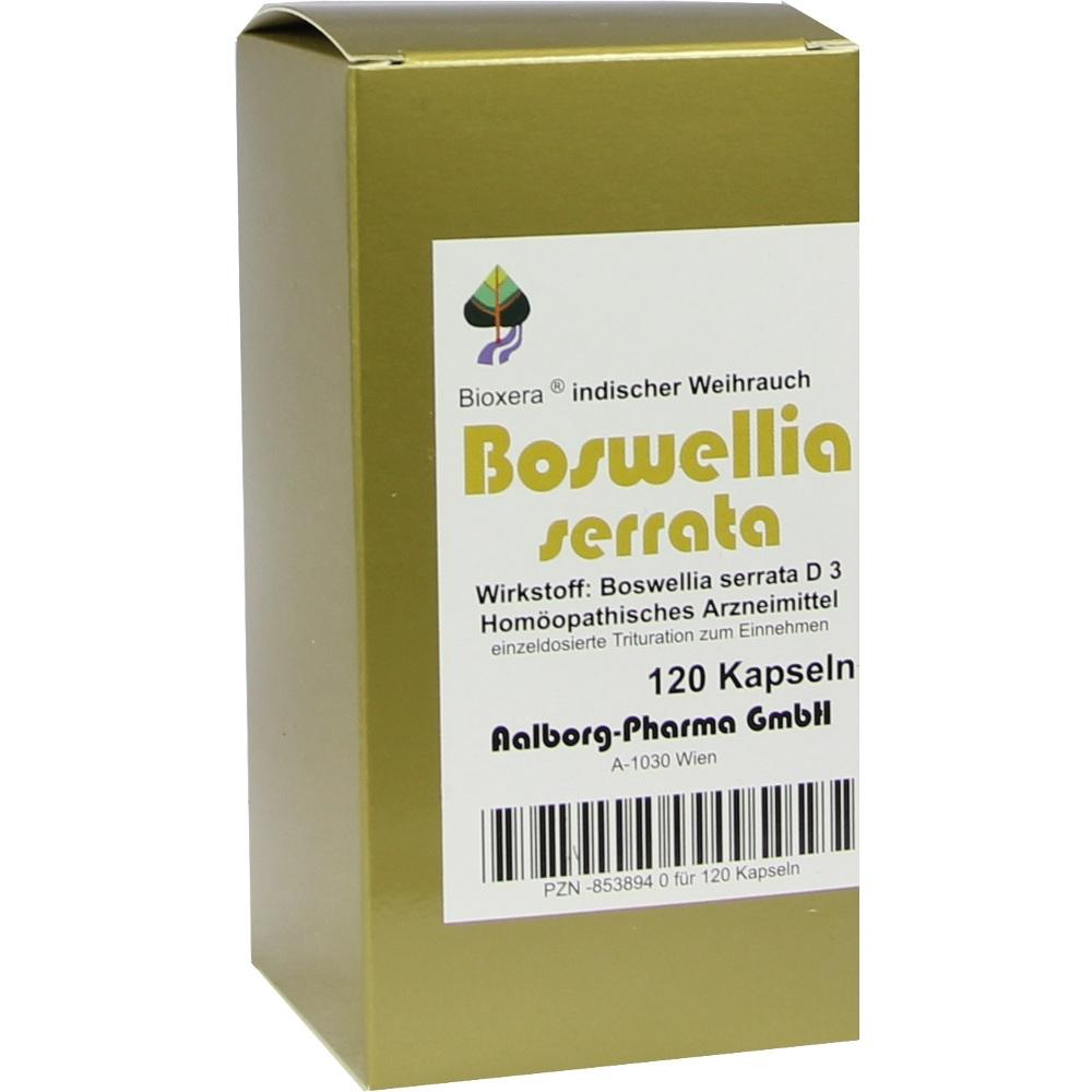 BOSWELLIA SERRATA Bioxera Kapseln 120 St Kapseln