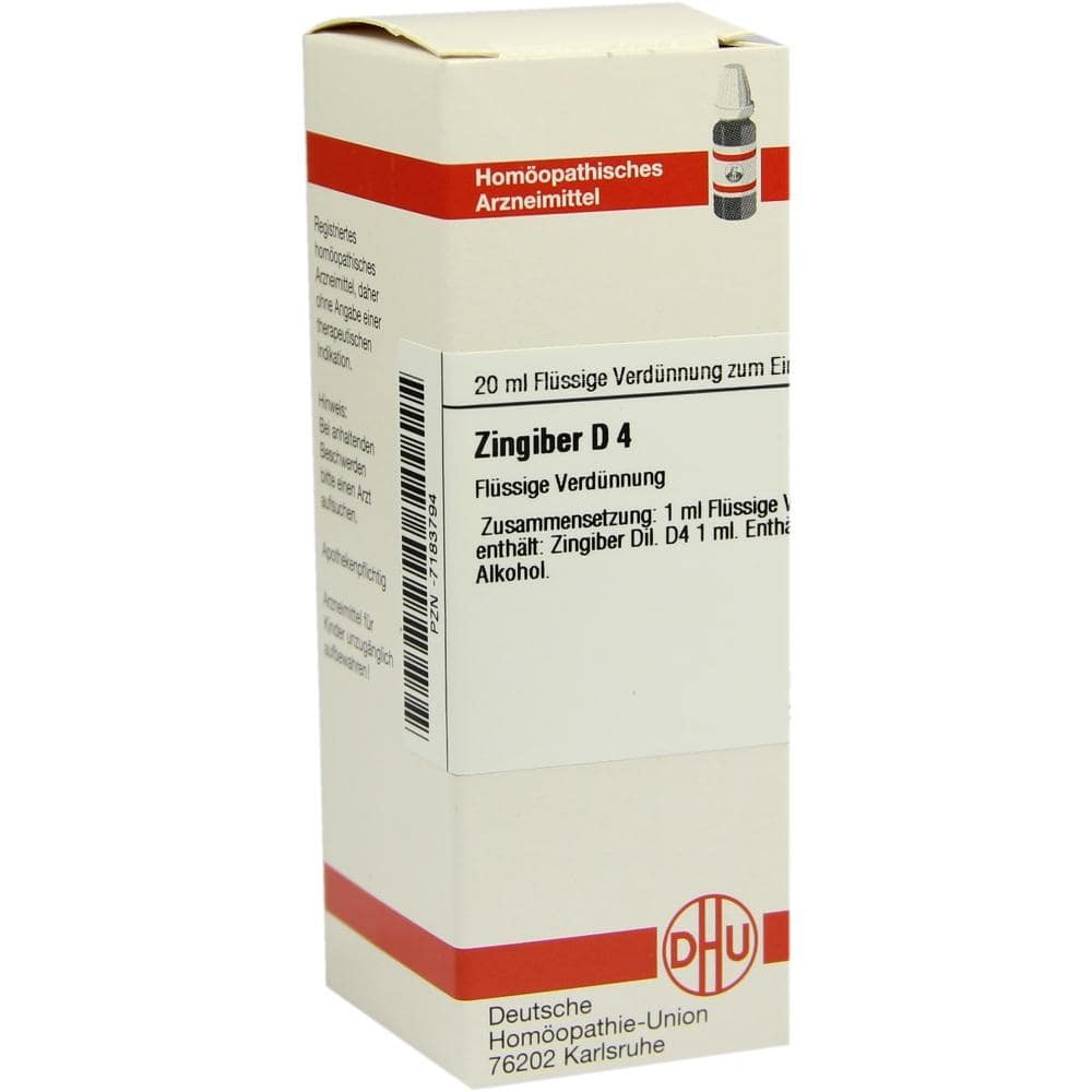 ZINGIBER D 4 Dilution 20 ml Dilution