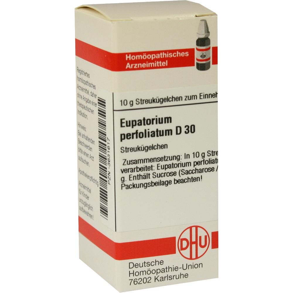 EUPATORIUM PERFOLIATUM D 30 Globuli 10 g Globuli