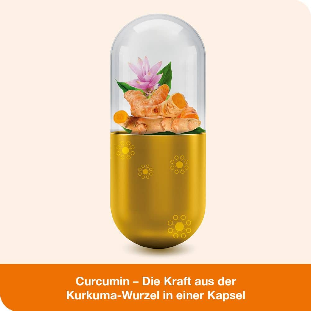 curcumin-Loges  60 St Kapseln