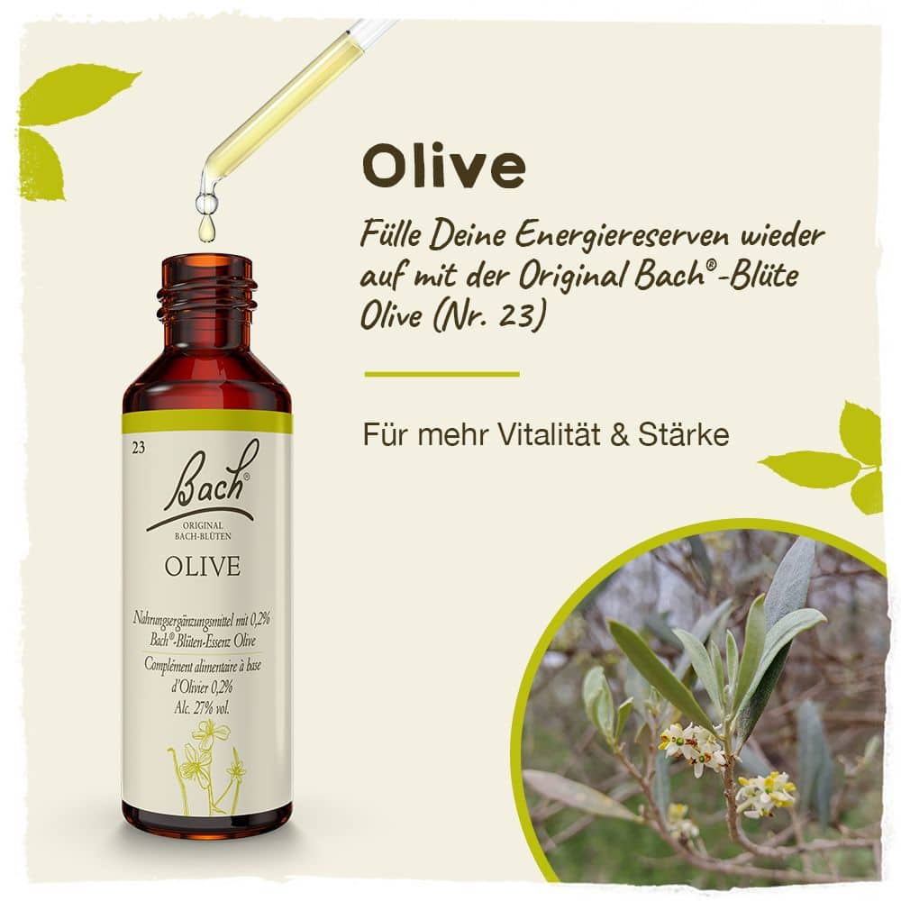 BACHBLÜTEN Original Olive Nr. 23 20 ml Tropfen