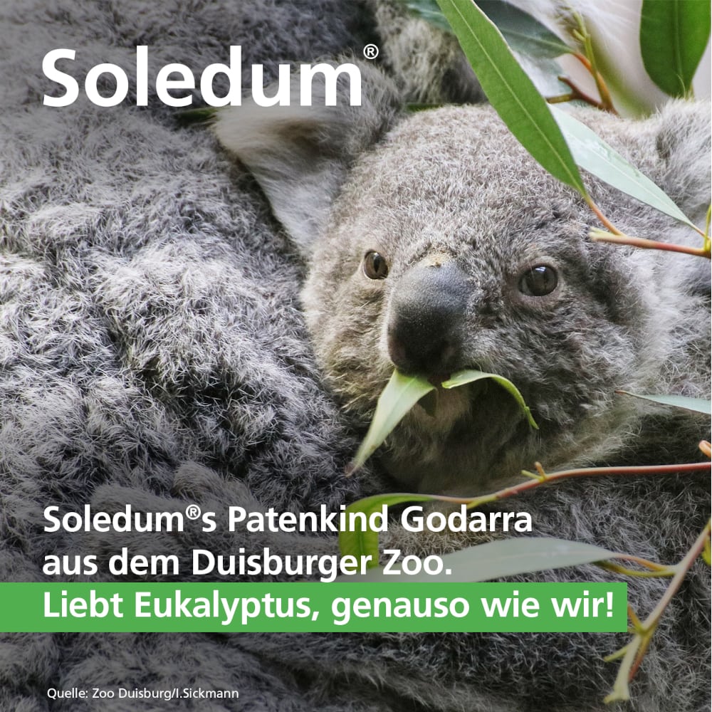 Soledum Balsam 15% Lösung 50 ml Flüssigkeit