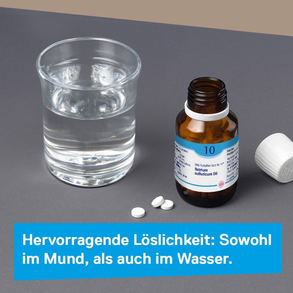 DHU Schüßler-Salz Nr. 10 Natrium sulfuricum D6 80 St Tabletten