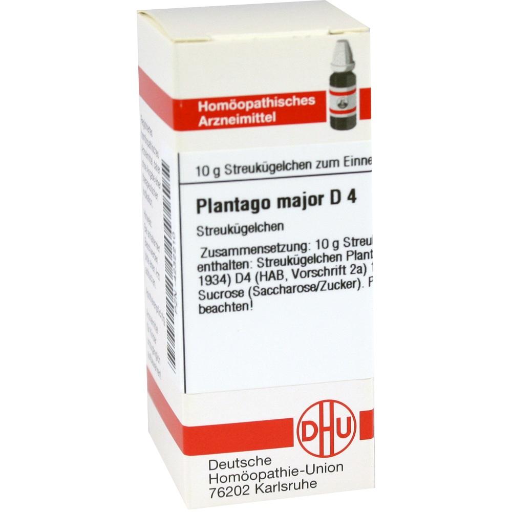 PLANTAGO MAJOR D 4 Globuli 10 g Globuli