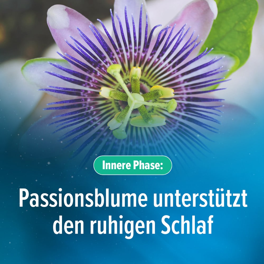 Hoggar MELATONIN DUO 2 PHASEN-KAPSELN 30 St Kapseln