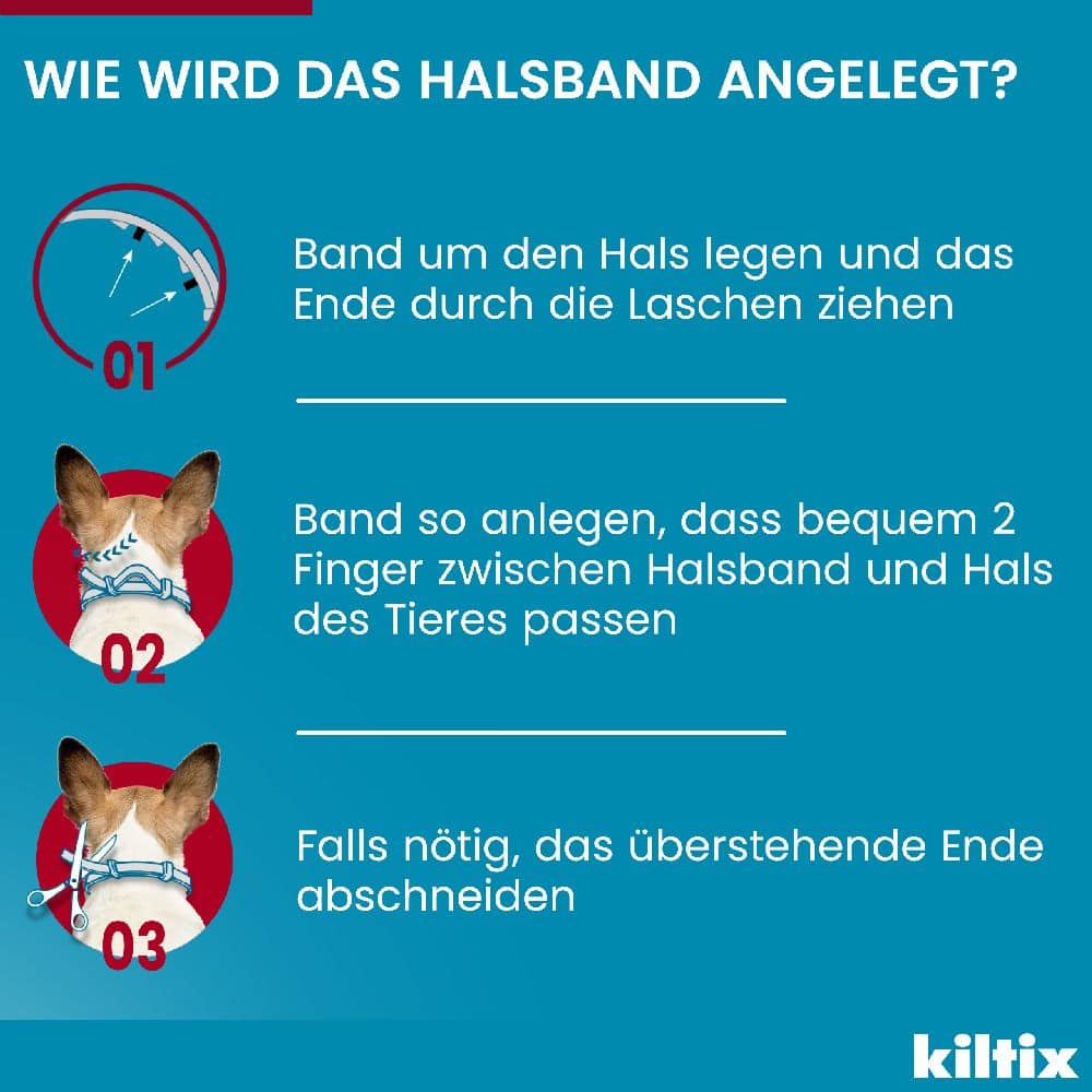 KILTIX Halsband für große Hunde 1 St Halsband