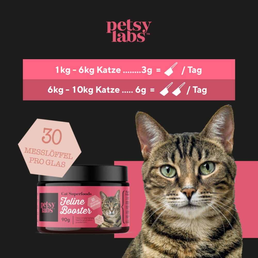 FELINE BOOSTER FUER KATZEN
