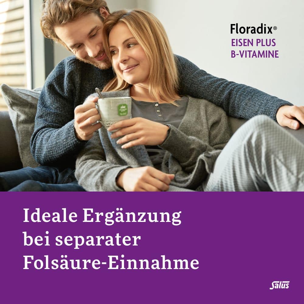 Floradix Eisen plus B-Vitamine 40 St Kapseln