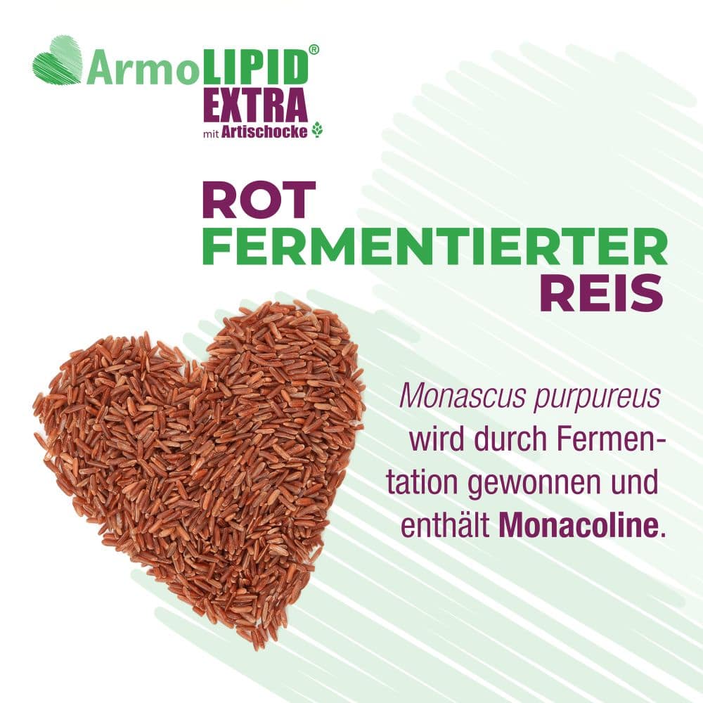 ArmoLIPID EXTRA mit Artischocke 60 St Tabletten