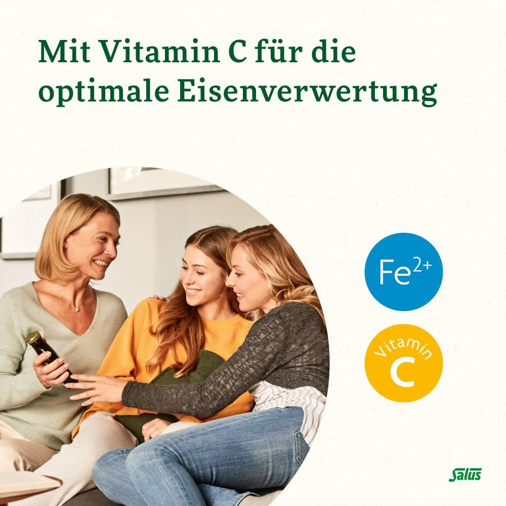 Floradix Eisen plus B12 vegan 40 St Kapseln