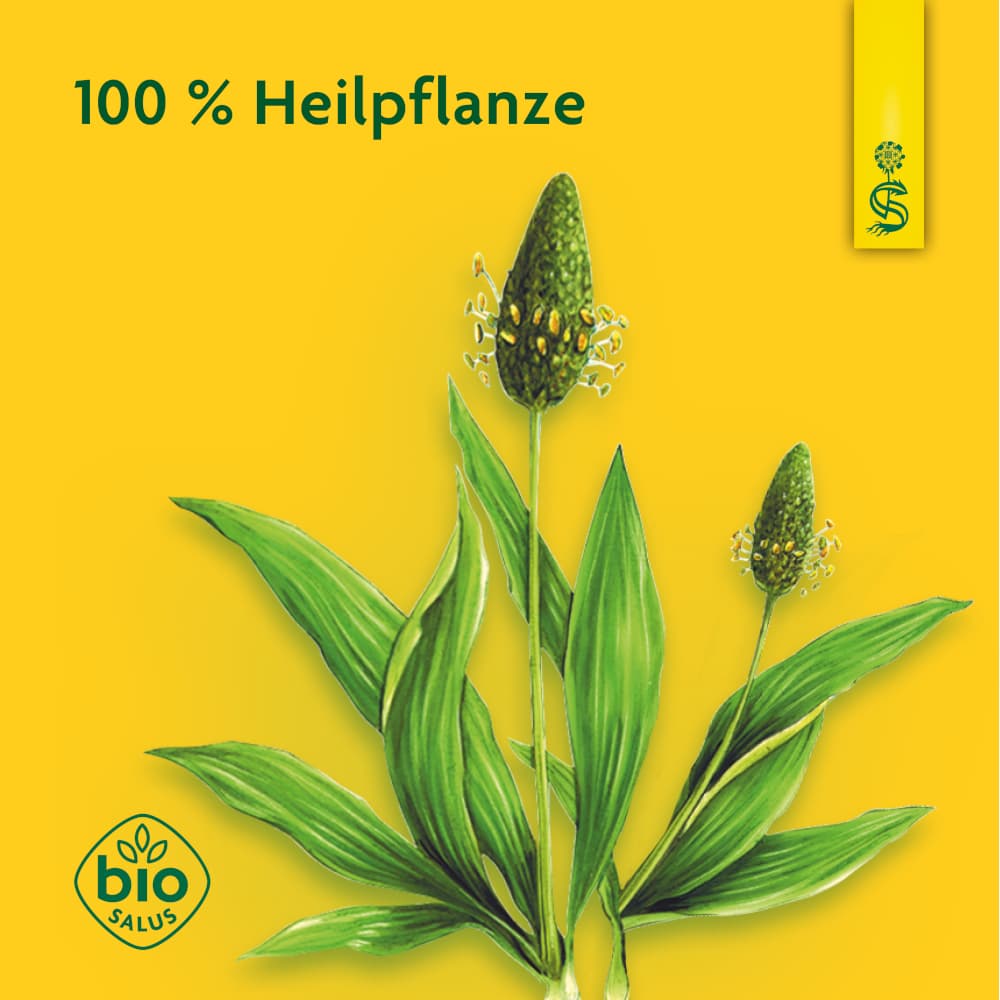 Schoenenberger Naturreiner Heilpflanzensaft Spitzwegerich 200 ml Saft