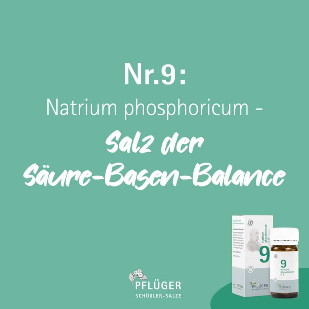 Schüßler-Salz Nr. 9 Natrium phosphoricum D6 4000 St Tabletten