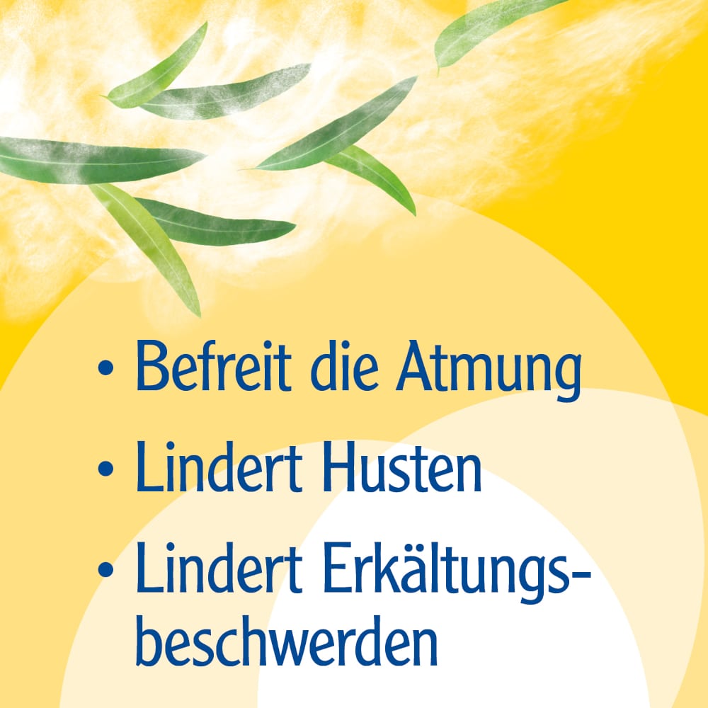 Pinimenthol Erkältungsbad für Kinder ab 2 Jahren - mit Eucalyptusöl 190 ml Bad