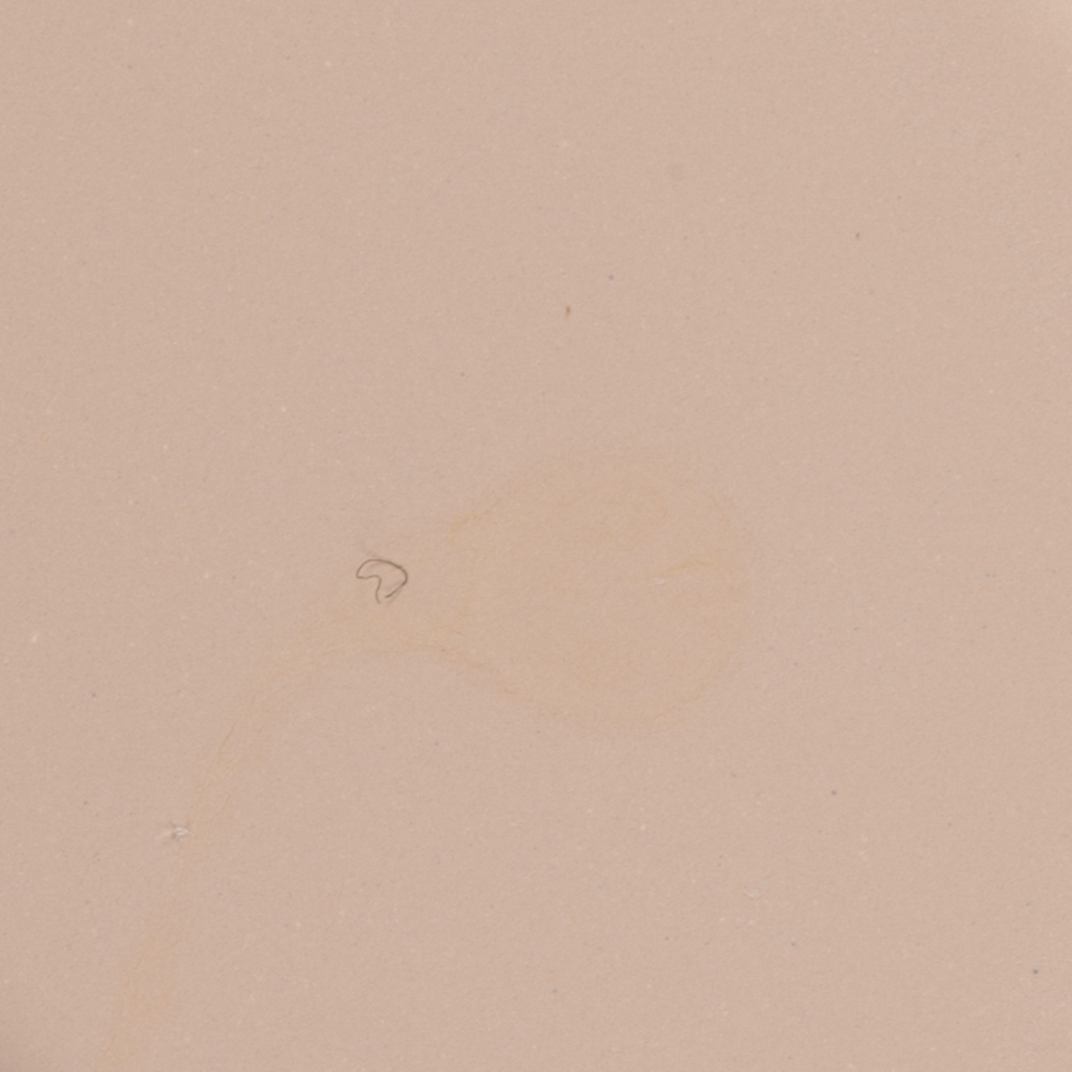 Dermacolor Camouflage Creme D1C 30 g 30 g Creme