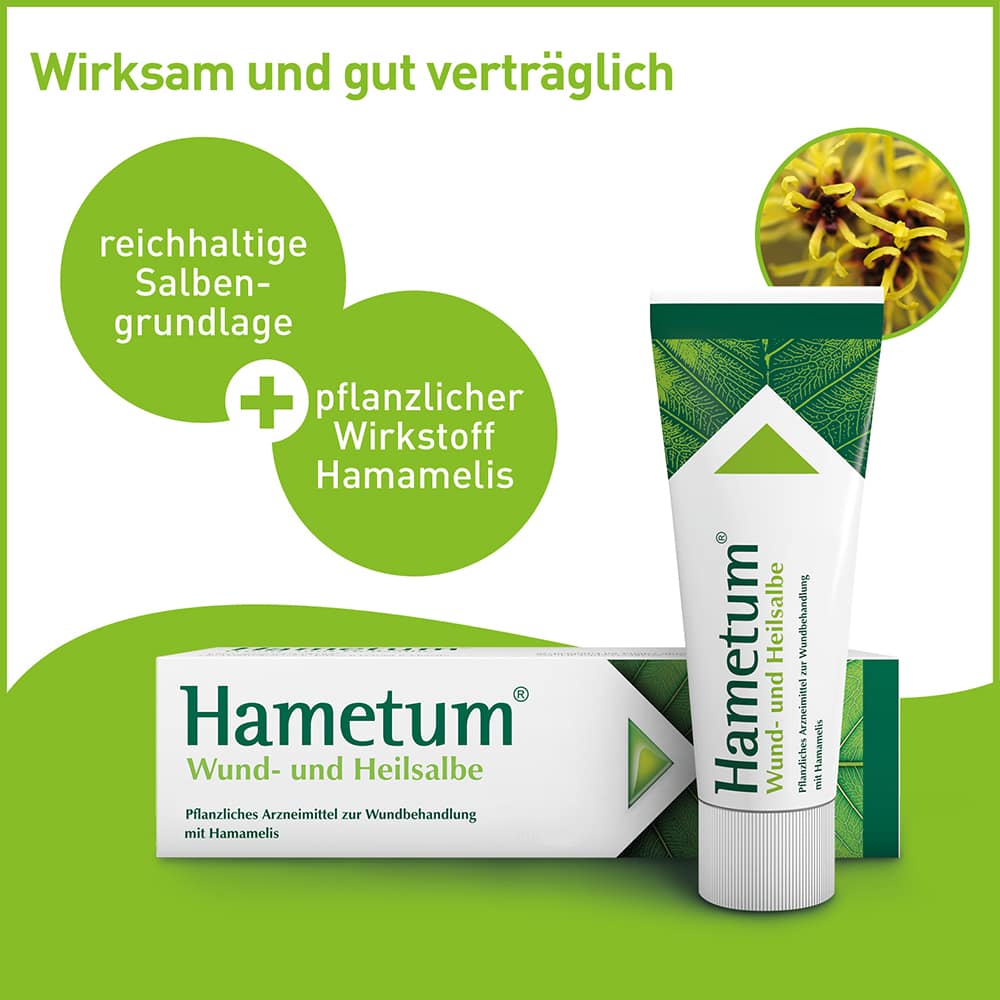Hametum Wund- und Heilsalbe 200 g Salbe