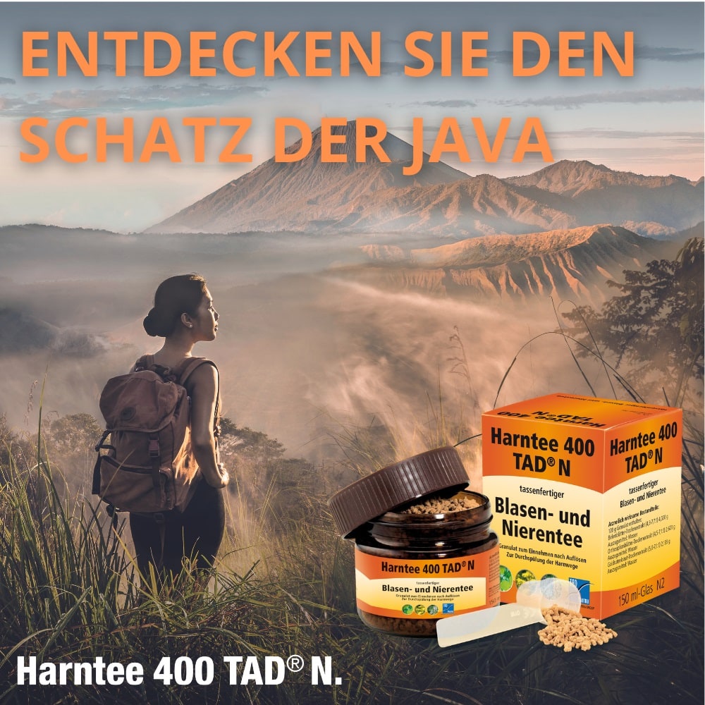 Harntee 400 TAD N Blasen- und Nierentee 150 ml Granulat