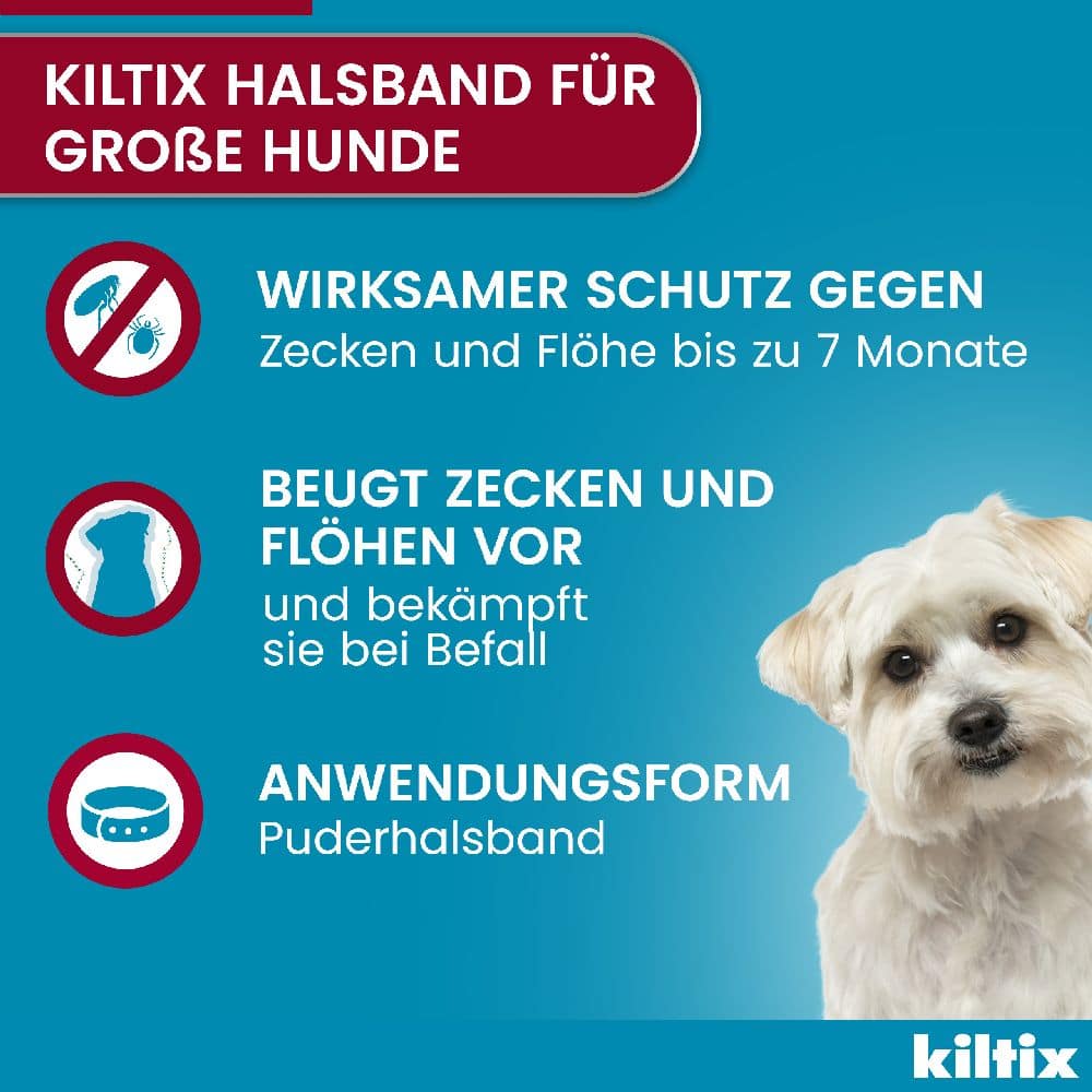 KILTIX Halsband für große Hunde 1 St Halsband