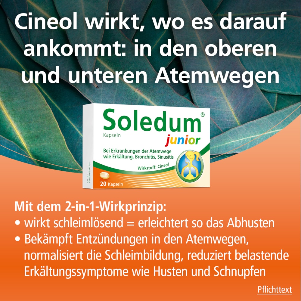 Soledum Kapseln junior 100mg 20 St Kapseln magensaftresistent