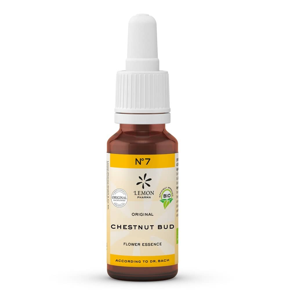 Bachblüten No.7 Chestnut Bud Bio  20 ml