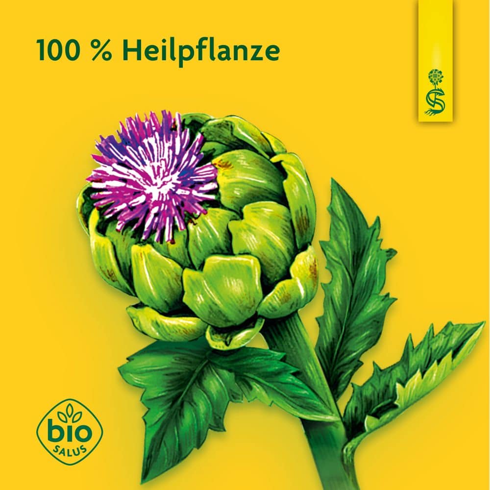Schoenenberger Artischocke Naturreiner Heilpflanzensaft  3X200 ml Saft