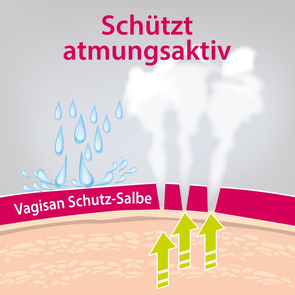 Vagisan Schutz-Salbe - Intimcreme 75 ml Salbe