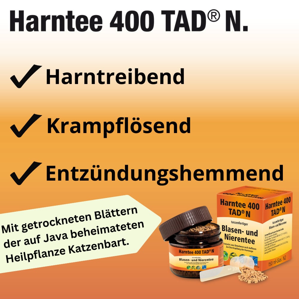 Harntee 400 TAD N Blasen- und Nierentee 300 ml Granulat