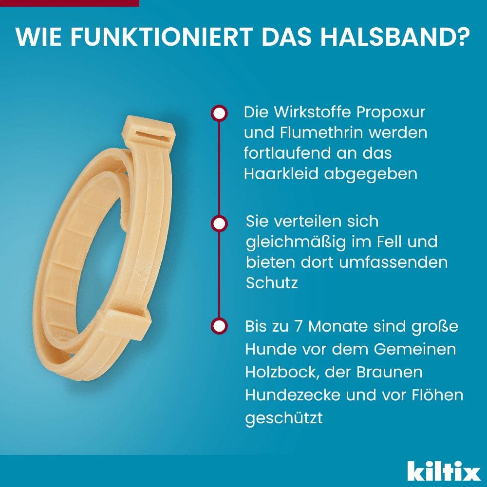 KILTIX Halsband für große Hunde 1 St Halsband