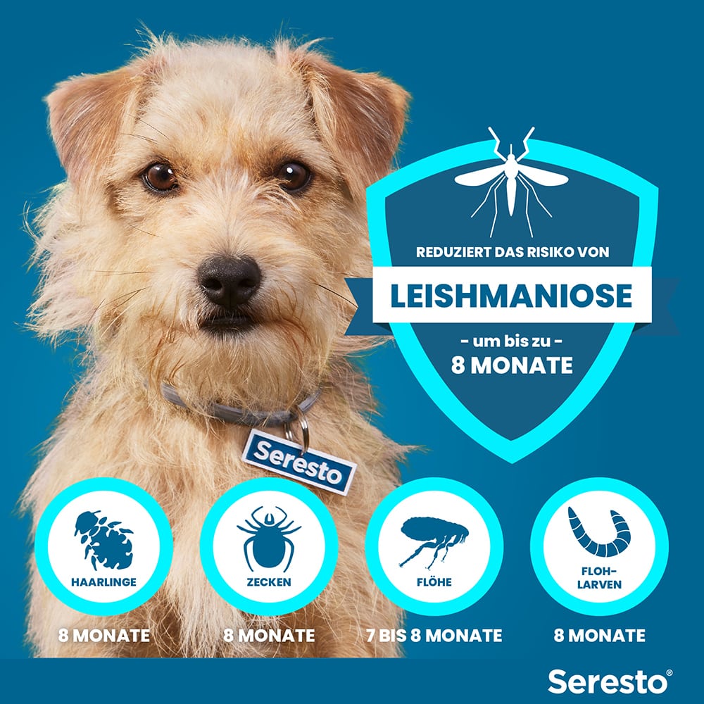 Seresto Halsband für kleine Hunde bis 8 kg 1 St Halsband